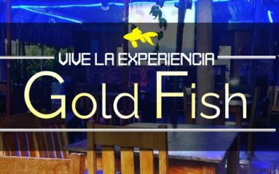 Gold Fish Restaurant